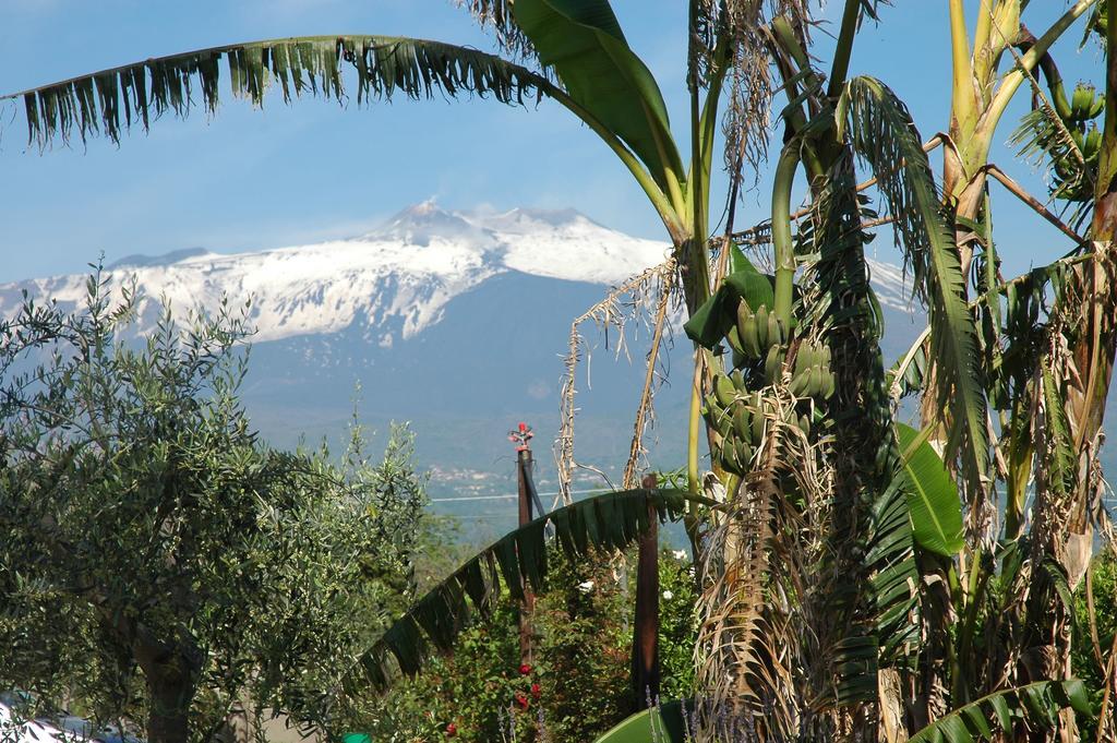 Agriturismo Dell'Etna Riposto Exterior photo